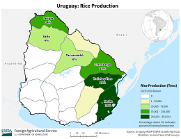 images\UY\cropprod\Uruguay_Rice_preview.png